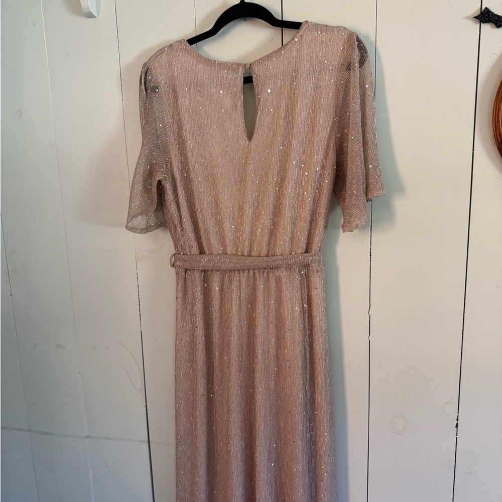 Baltic Born Shimmering Beige Maxi Dress - Picture 7 of 7